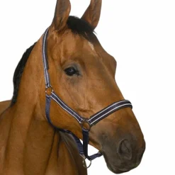 Licols Poneys|Licols Polypropylène*Norton - Licol Reflective Marine
