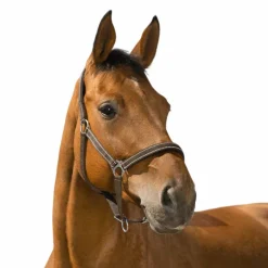 Online - Licol Reflective choco Licols Poneys|Licols Polypropylène