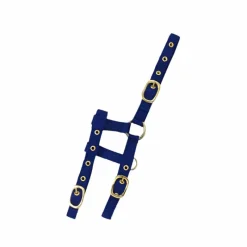 Outlet - Licol réglable mini bleu roi Licols Poneys