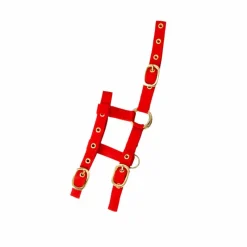 Licols Poneys*Norton - Licol réglable mini rouge