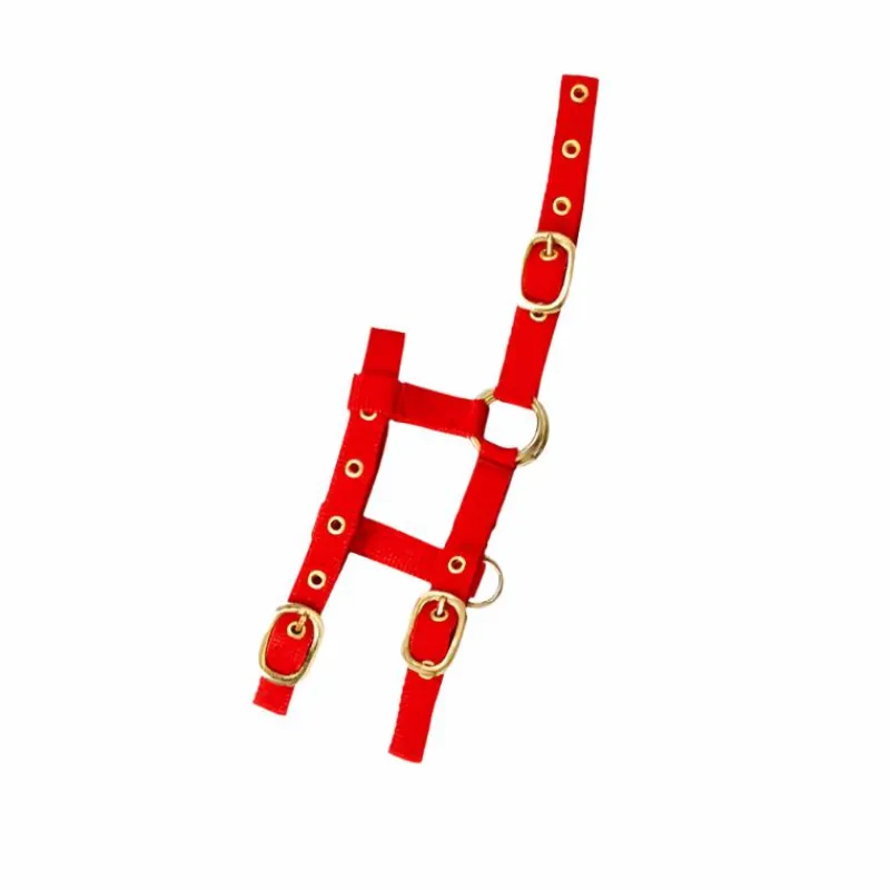 Licols Poneys*Norton - Licol réglable mini rouge