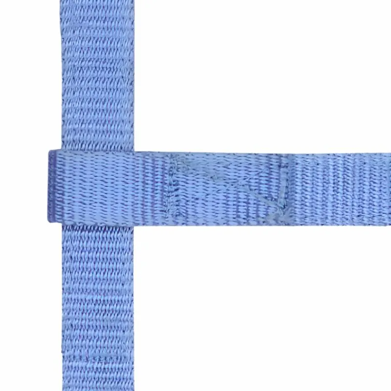 Élevage|Licols Poneys*Norton - Licol réglable mini bleu ciel