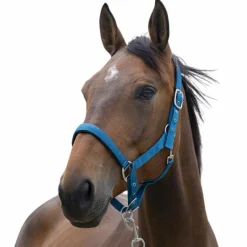 Outlet - Licol Satine canard Licols Poneys