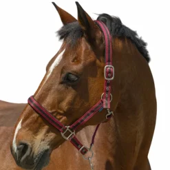 Licols Poneys*Norton - Licol Satine / noir Bordeaux