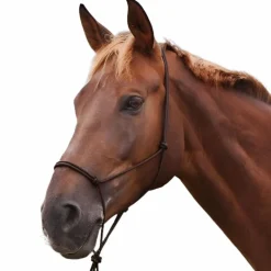 Éthologie|Licols Éthologiques*Norton - Licol éthologique doux marron