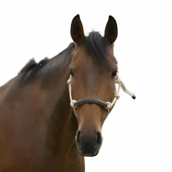 Outlet - Licol éthologique corde/ synthétique Licols Poneys|Licols Éthologiques