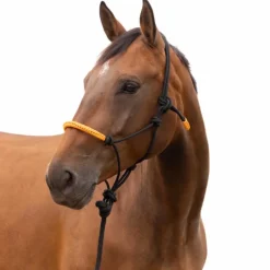 Éthologie|Licols Poneys*Norton - Licol éthologique et longe Fun colour /orange Noir