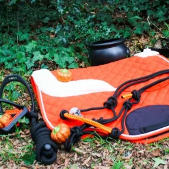 Éthologie|Licols Poneys*Norton - Licol éthologique et longe Fun colour /orange Noir