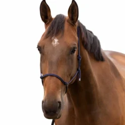 Sale - Licol éthologique doux marine Éthologie|Licols Éthologiques