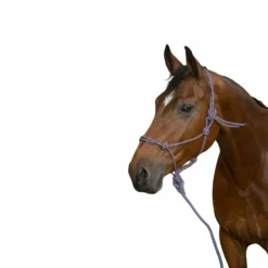 Outlet - Licol éthologique longe "eco" /rose Licols Éthologiques