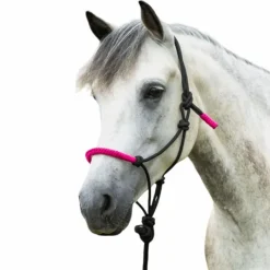 Online - Licol éthologique et longe Fun colour /fuschia Éthologie|Licols Poneys