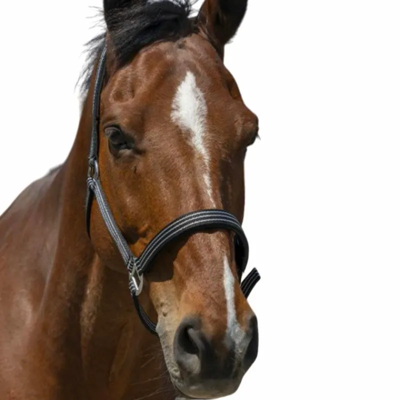 Discount - Licol Zari Licols Poneys