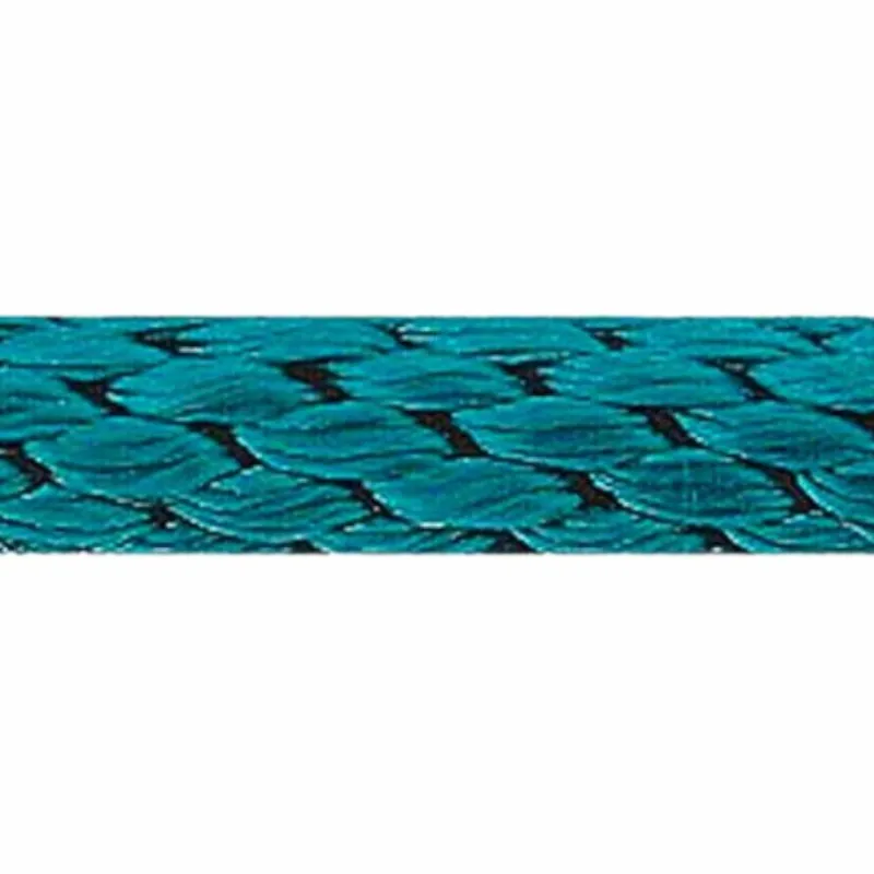 Discount - Longe d'attache 2 m turquoise Longes Classiques