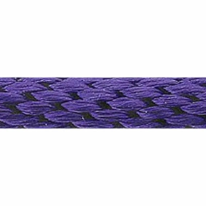 Longes Classiques*Norton - Longe d'attache 2 m Violet