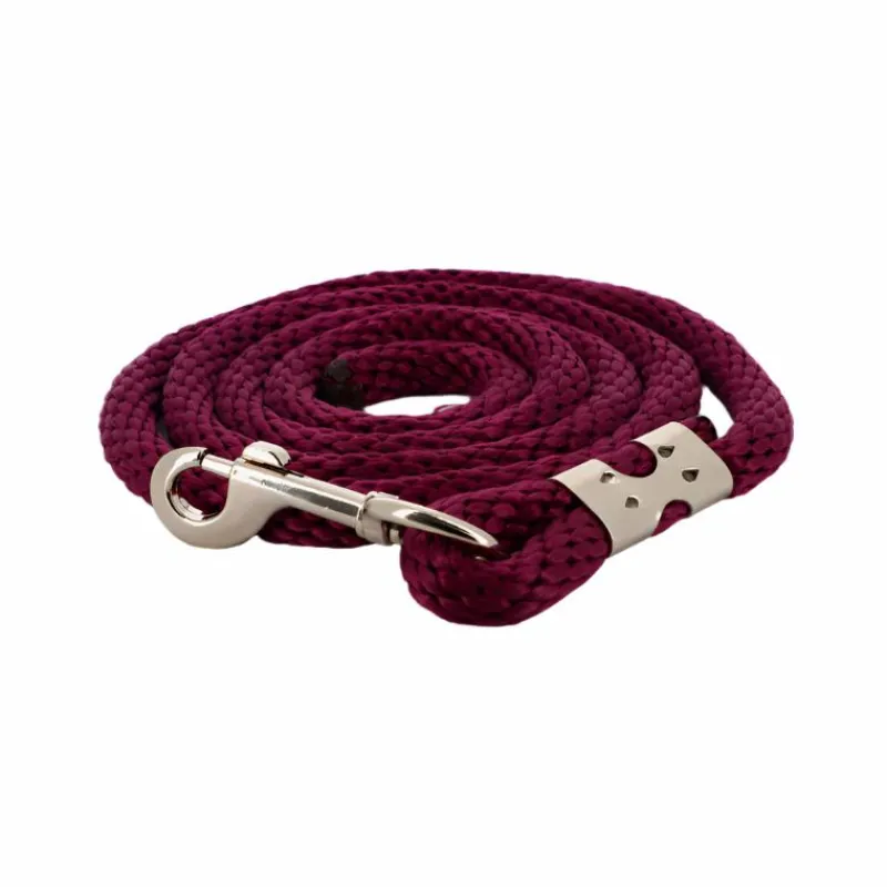 Longes Classiques*Norton - Longe d'attache bright Bordeaux