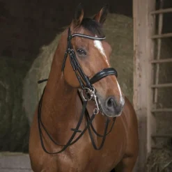 Sale - Rênes de bride 13mm poney Rênes Et Arrêtoirs De Rênes Poneys|Rênes Et Arrêtoirs De Rênes