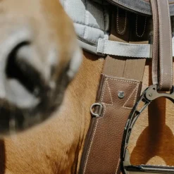 Sangles Anatomiques*Norton - Sangle anatomique Magnet havane Marron