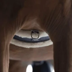 Sangles Classiques*Norton - Sangle XTR mouton synthétique noir