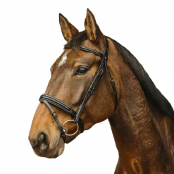 New - Bridon Apophyse Bridons Poneys|Bridons