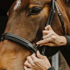 New - Bridon Apophyse Bridons Poneys|Bridons