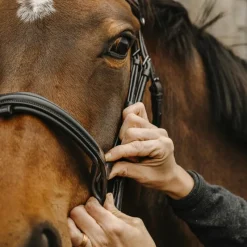 New - Bridon Apophyse Bridons Poneys|Bridons