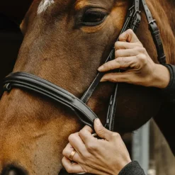 New - Bridon Apophyse Bridons Poneys|Bridons