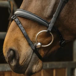 Discount - Bridon Dark Bridons