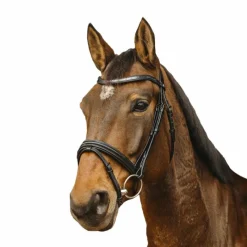 Clearance - Bridon Galon Bridons