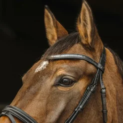 Clearance - Bridon Galon Bridons