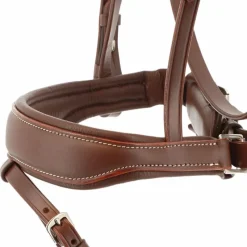 Cso|Bridons Poneys*Norton Pro - Bridon Miss Havane