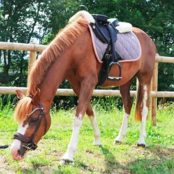 Cso|Bridons Poneys*Norton Pro - Bridon Miss Havane