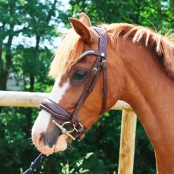 Cso|Bridons Poneys*Norton Pro - Bridon Miss Havane