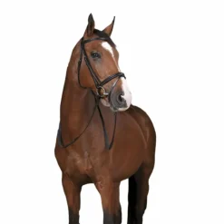 Rênes Et Arrêtoirs De Rênes Poneys|Rênes Et Arrêtoirs De Rênes*Norton Pro - Rênes en caoutchouc noir