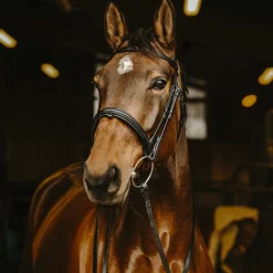 Rênes Et Arrêtoirs De Rênes*Norton Pro - Rênes lisses Noir