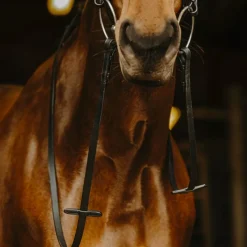 Rênes Et Arrêtoirs De Rênes*Norton Pro - Rênes lisses Noir