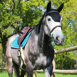 New - Bonnet à strass marine Bonnets Pour Chevaux|Cso