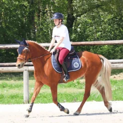 New - Bonnet à strass marine Bonnets Pour Chevaux|Cso