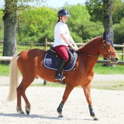 New - Bonnet à strass marine Bonnets Pour Chevaux|Cso
