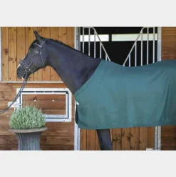 Couvertures Et Chemises*Paddock Sports - Chemise de présentation 0g Vert