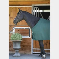 Couvertures Et Chemises*Paddock Sports - Chemise de présentation 0g Vert