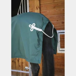 Couvertures Et Chemises*Paddock Sports - Chemise de présentation 0g Vert