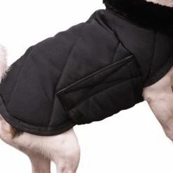 Clearance - Couverture pour chien Diagonal Manteaux