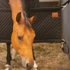 Discount - Porte de box Portes Et Tentures De Box