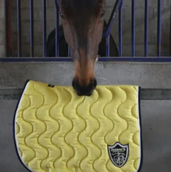 Outlet - Tapis de selle Origine Tapis De Selle|Tapis Cso/ Mixtes