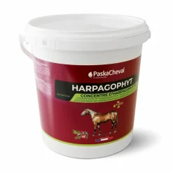 Hot - Complément alimentaire soutien articulaire Harpagophyt Harpagophytum|Bien Être