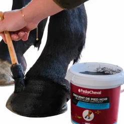 Onguents Noirs*Paskacheval - Onguent pour sabots Noir