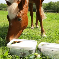 Online - Complément alimentaire anti-stress Phyto Stress Anti-Stress