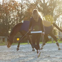 New - Blouson Fuji Blousons Et Manteaux