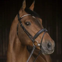 Bridons Poneys|Bridons*Pénélope - Bridon Daily Strass Noir