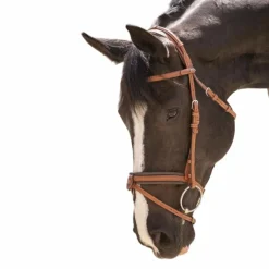 Bridons*Pénélope - Bridon Elégance Cognac